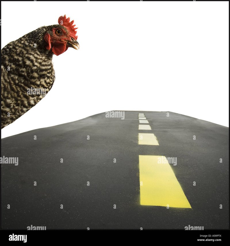 Juego chicken road - Descubre los secretos detrás del juego de azar más popular en Chicken Road